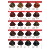 Crema-tinta resistente per capelli 223 Mogano scuro "Vip's Prestige"