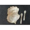Set Piatto e Cucchiaino in Madreperla per Caviale