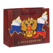 Sacchetto regalo 26x30x9cm