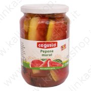 Anguria marinata "Cegusto - Conservfruct" (680g)