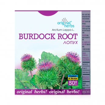 radici di bardana  (Arctium)