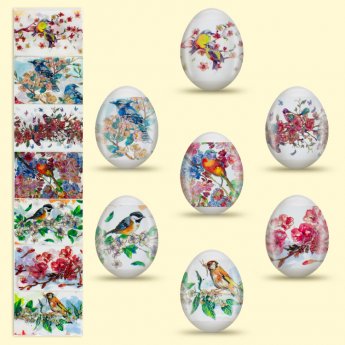 termoetichetta decorativa (7 pz) termoetichetta decorativa (7 pz)