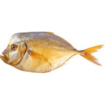 Vomere affumicato a freddo, eviscerato, con testa, kg Vomere affumicato a freddo, eviscerato, con testa, kg