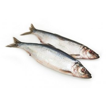 Aringa in salamoia (al kg)