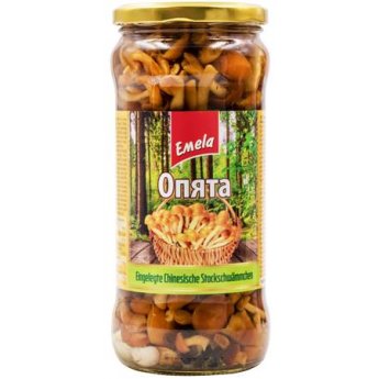 Funghi porcini Emelya 660g